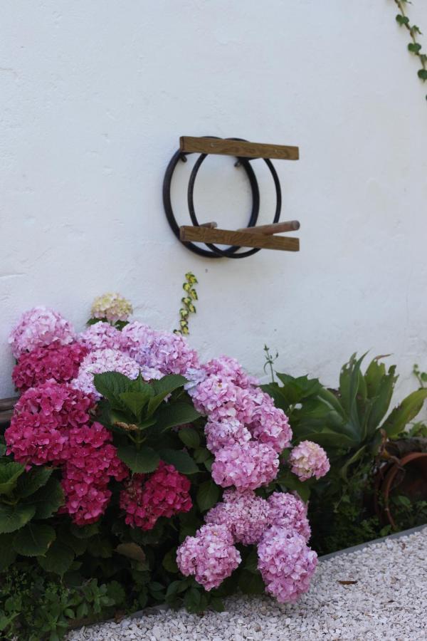 Ribeira Dos Marinheiros Azul Apartment Sintra Exterior foto